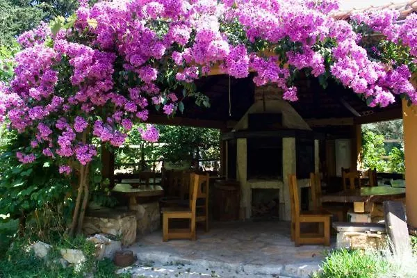 Apartmani Park Sveti Filip i Jakov Croatie