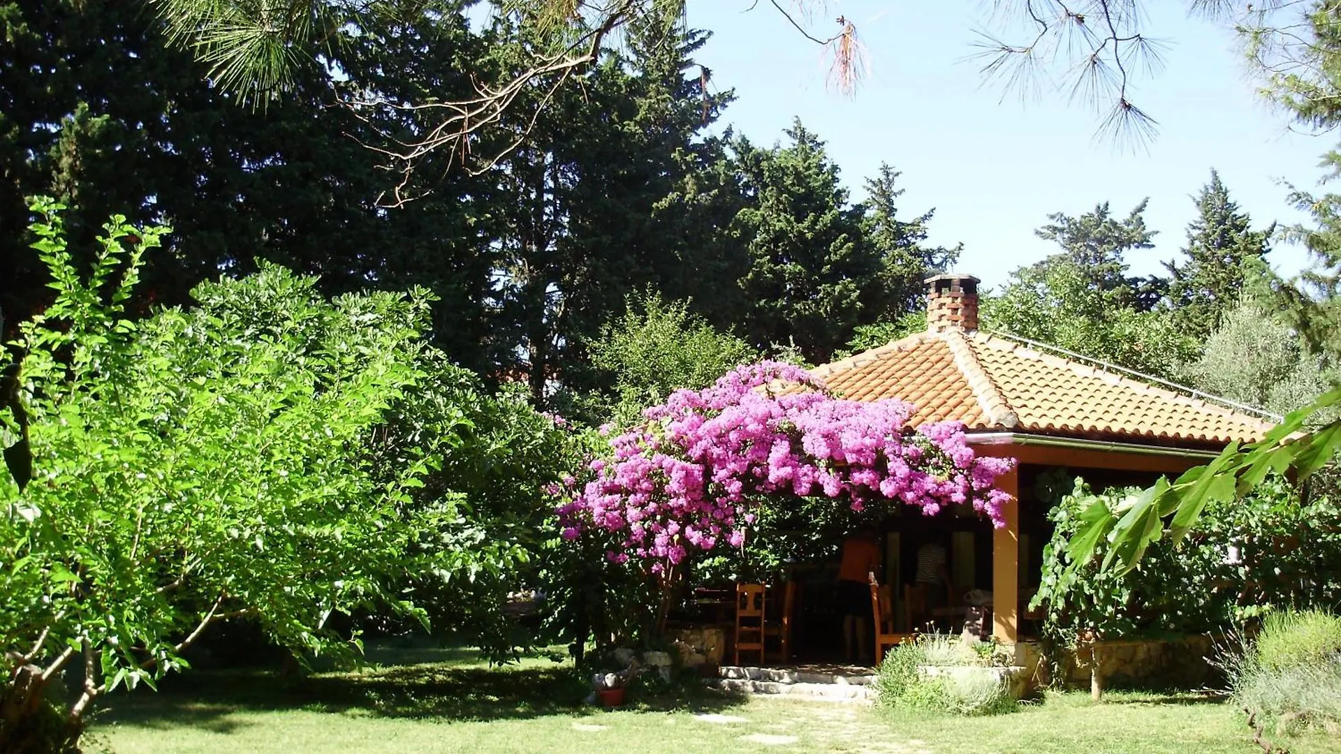Apartmani Park Sveti Filip i Jakov Apartment